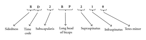Details are in the caption following the image Details are in the caption following the image