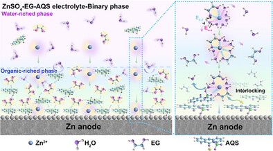 The Design of Interfacial Organic-Riched Phase by Molecular Interlocking for Stable Zn Anodes