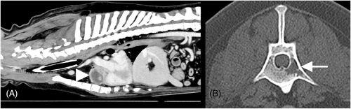 Details are in the caption following the image