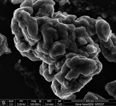 Removal of NO from Flue Gas by a Heterogeneous Fenton-Like Process