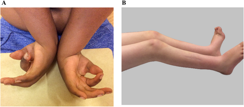 Details are in the caption following the image Details are in the caption following the image