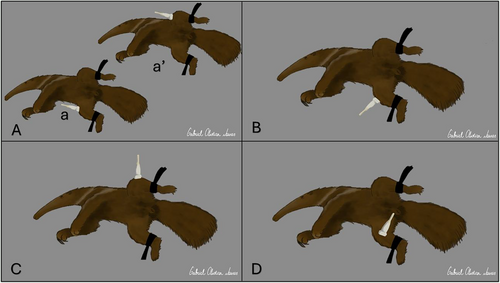 Details are in the caption following the image