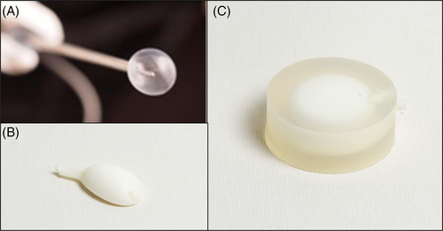 Details are in the caption following the image Details are in the caption following the image