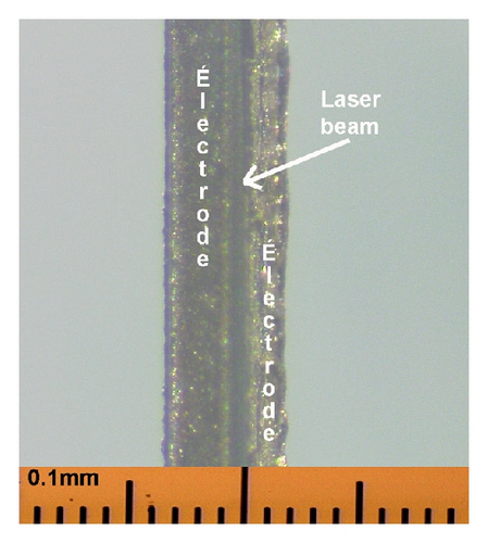 Details are in the caption following the image