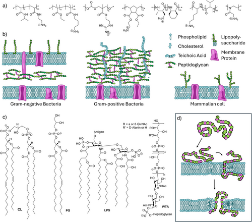 Details are in the caption following the image Details are in the caption following the image