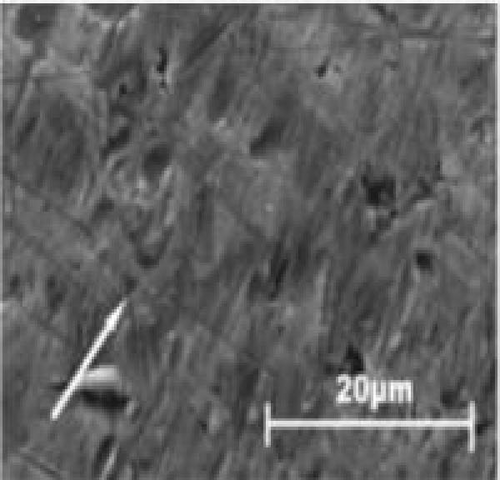 Details are in the caption following the image