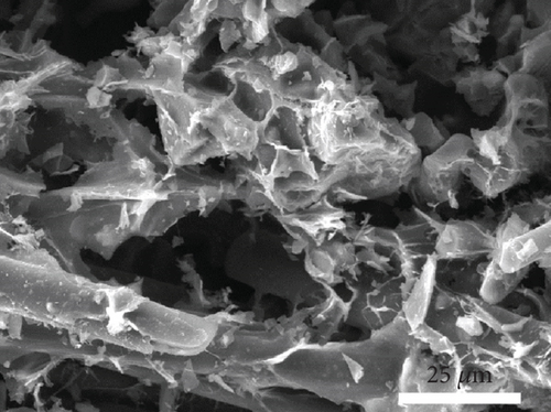 Details are in the caption following the image