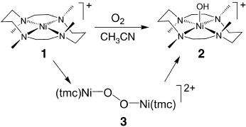 Spectroscopic Elucidation of a Peroxo Ni2(μ-O2) Intermediate Derived from a Nickel(I) Complex and Dioxygen