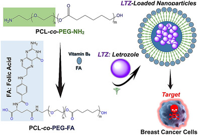 Engineering Folic Acid-Modified Nanoparticles to Enhance Letrozole's Anticancer Action
