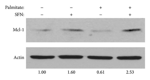 Details are in the caption following the image
