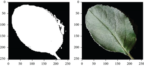 Details are in the caption following the image Details are in the caption following the image