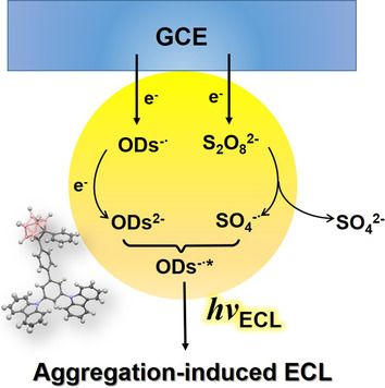 Aggregation-Induced Electrochemiluminescence of Carboranyl Carbazoles in Aqueous Media