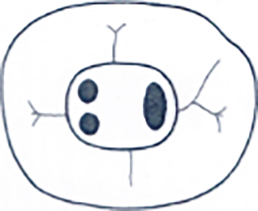 Details are in the caption following the image