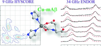 Multi-Frequency, Multi-Technique Pulsed EPR Investigation of the Copper Binding Site of Murine Amyloid β Peptide