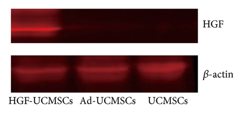 Details are in the caption following the image