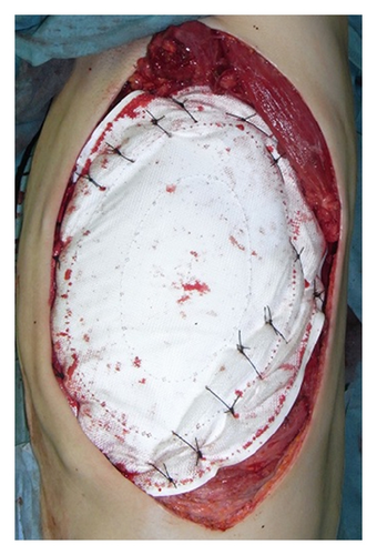 Details are in the caption following the image Details are in the caption following the image