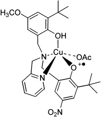 A Structural and Functional Model of Galactose Oxidase: Control of the One-Electron Oxidized Active Form through Two Differentiated Phenolic Arms in a Tripodal Ligand