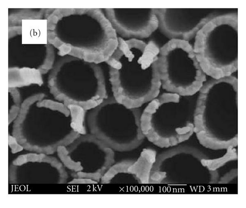 Details are in the caption following the image