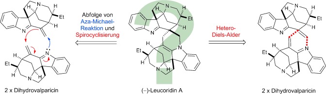 Biomimetic Total Syntheses of (−)-Leucoridines A and C through the Dimerization of (−)-Dihydrovalparicine
