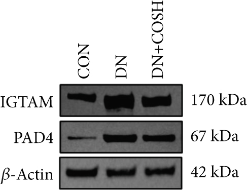 Details are in the caption following the image