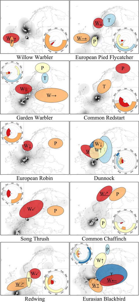 Autumn bird migration phenology: A potpourri of wind, precipitation and temperature effects