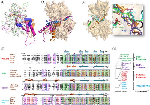 Details are in the caption following the image Details are in the caption following the image