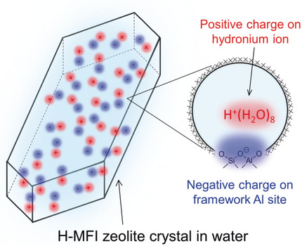 Influence of Hydronium Ions in Zeolites on Sorption