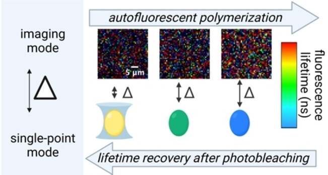 A General Autofluorescence Method to Characterize Polymerization Progress