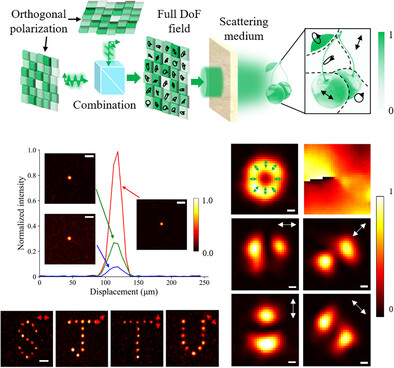 Spatial Full Degree-Of-Freedom Scattered Optical Field Modulation