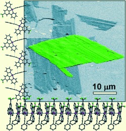 Photoresponsive Supramolecular Organometallic Nanosheets Induced by PtII⋅⋅⋅PtII and C<span class='icomoon'></span>H⋅⋅⋅π Interactions