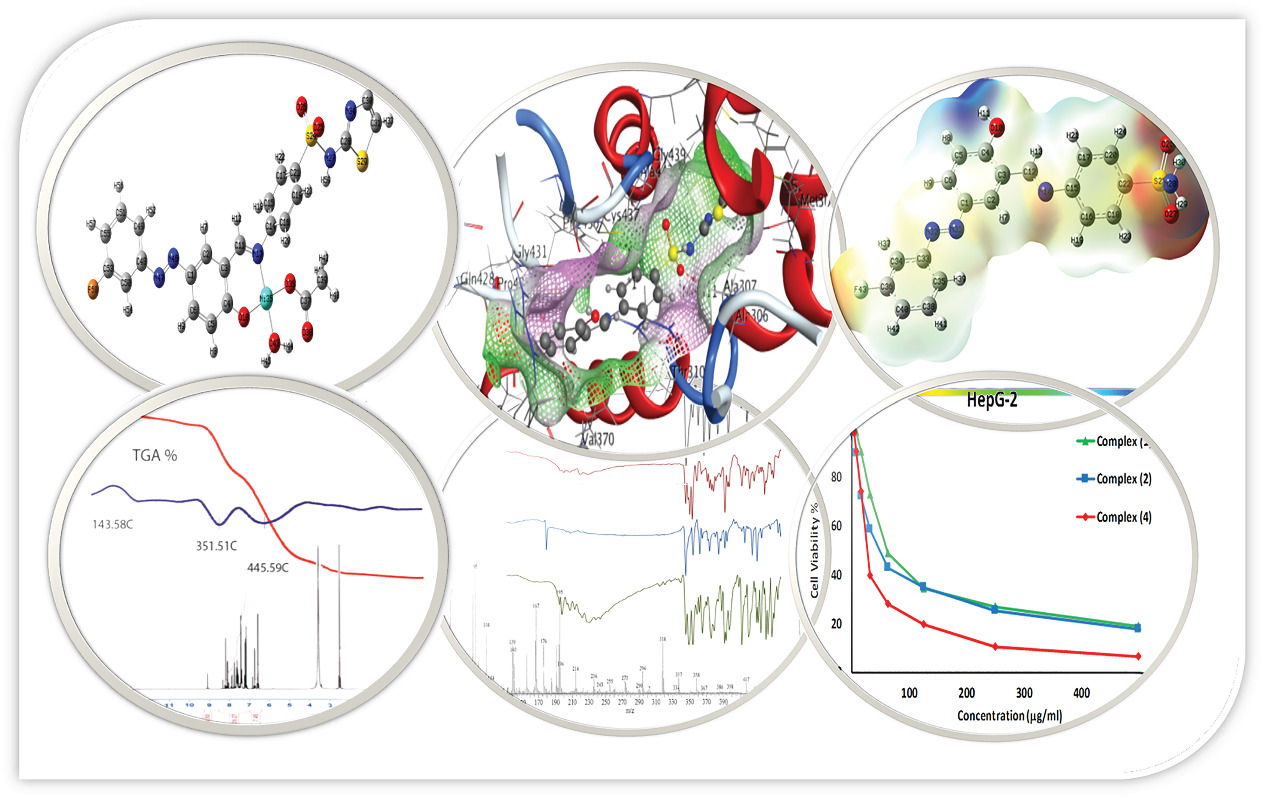 Synthesis, characterization, biological evaluation, and molecular docking approach of nickel (II) complexes containing O, N-donor chelation pattern of sulfonamide-based Schiff bases