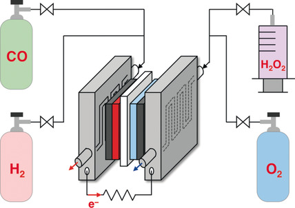 Multifunctional Catalysts for H2O2-Resistant Hydrogen Fuel Cells
