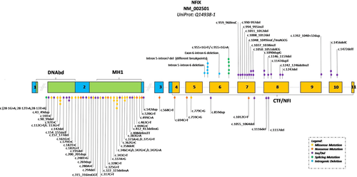 Details are in the caption following the image Details are in the caption following the image