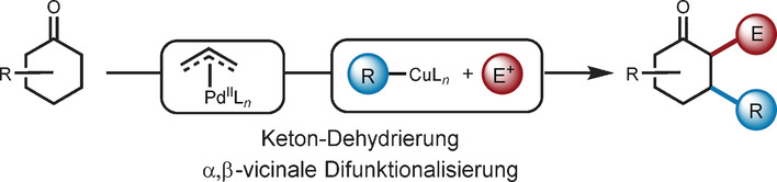 Allyl-Palladium-Catalyzed Ketone Dehydrogenation Enables Telescoping with Enone α,β-Vicinal Difunctionalization