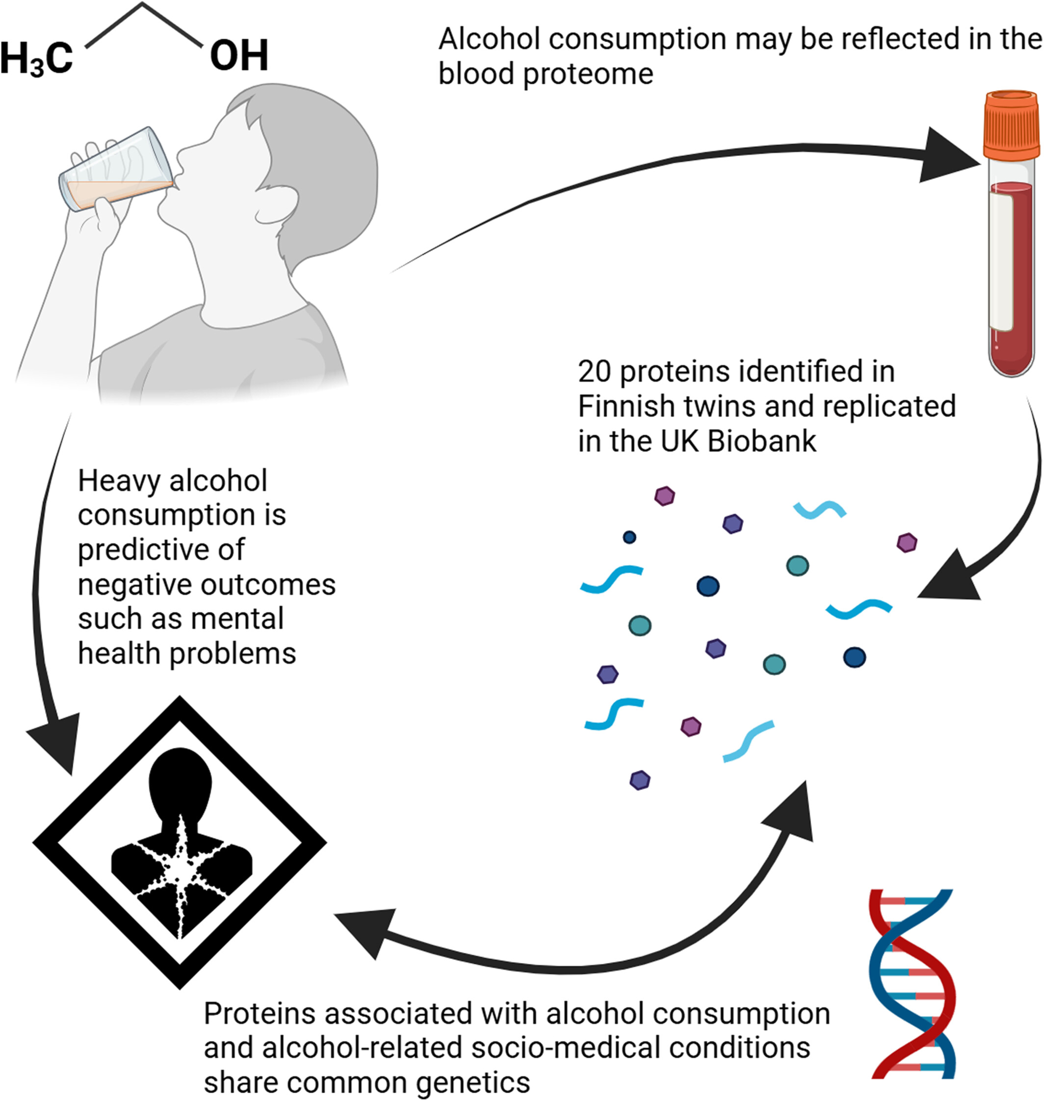 Protein Associations With Alcohol Consumption and Genetic Risk for Alcohol-Related Sociomedical Conditions