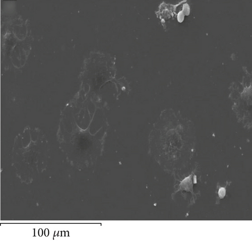 Details are in the caption following the image