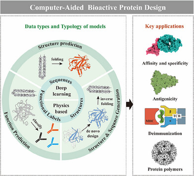 Computer-Aided Technology for Bioactive Protein Design and Clinical Application