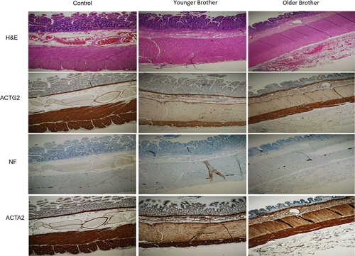 Details are in the caption following the image Details are in the caption following the image