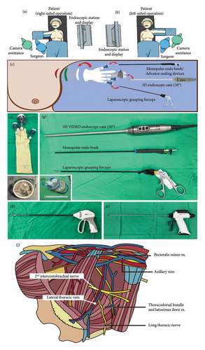 Details are in the caption following the image Details are in the caption following the image