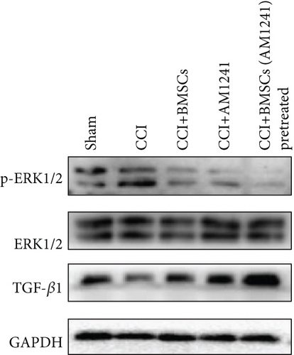 Details are in the caption following the image