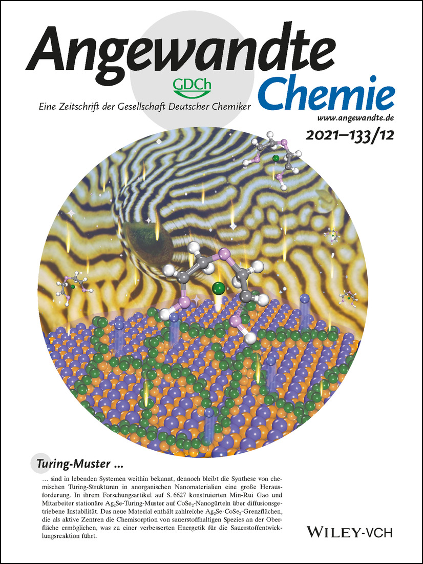 Rücktitelbild: An Efficient Turing-Type Ag2Se-CoSe2 Multi-Interfacial Oxygen-Evolving Electrocatalyst (Angew. Chem. 12/2021) Volume 133 Issue 12, 2021