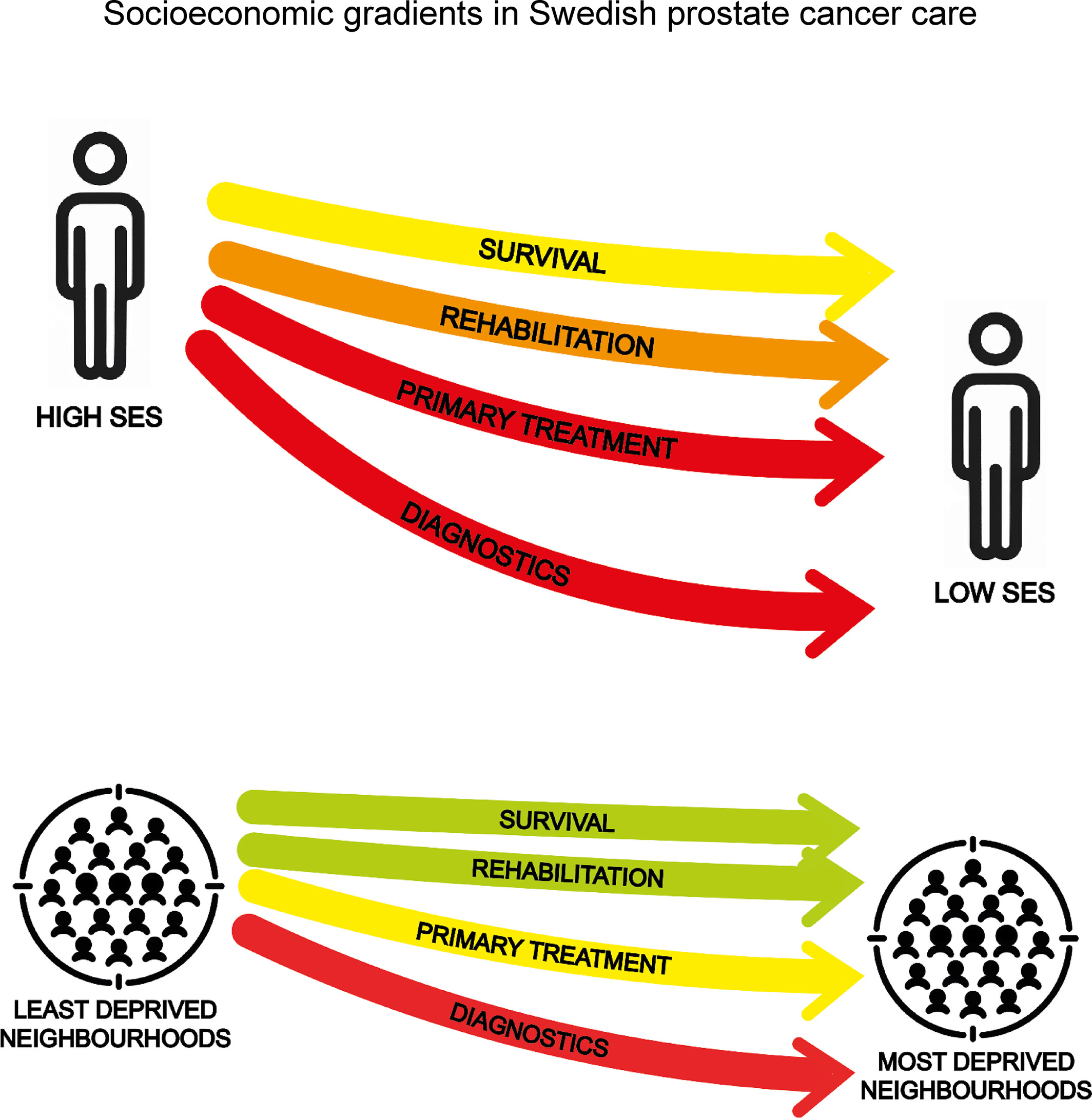 Socioeconomic inequality in prostate cancer diagnostics, primary treatment, rehabilitation, and mortality in Sweden