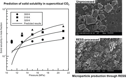 Solid Solubilities of Sulfonamides and Use of Rapid Expansion of Supercritical Solutions for Microparticle Production