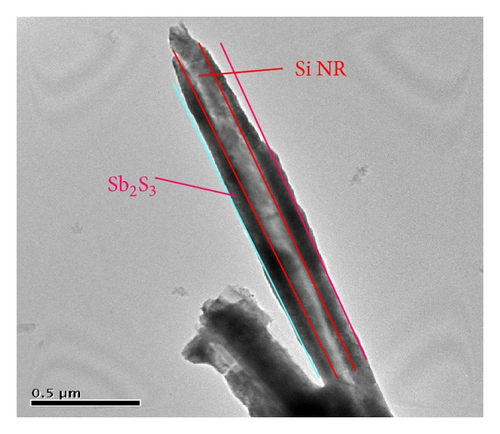 Details are in the caption following the image Details are in the caption following the image