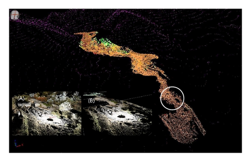Details are in the caption following the image Details are in the caption following the image