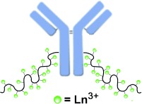 Polymer-Based Elemental Tags for Sensitive Bioassays