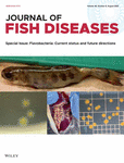 Special Issue: Flavobacteria: Current status and future directions cover image