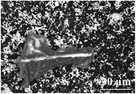 aesr202100074-gra-0015