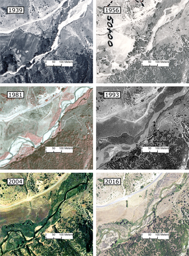 Details are in the caption following the image Details are in the caption following the image