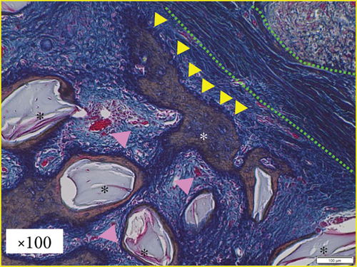Details are in the caption following the image